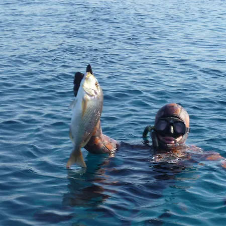 Paraschos Kos Apart Otel