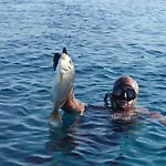 Paraschos Kos شقة فندقية