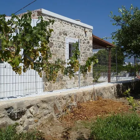 Paraschos Kos Aparthotel Kardamena (Kos)