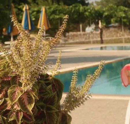 Paraschos Kos Kardamena (Kos)