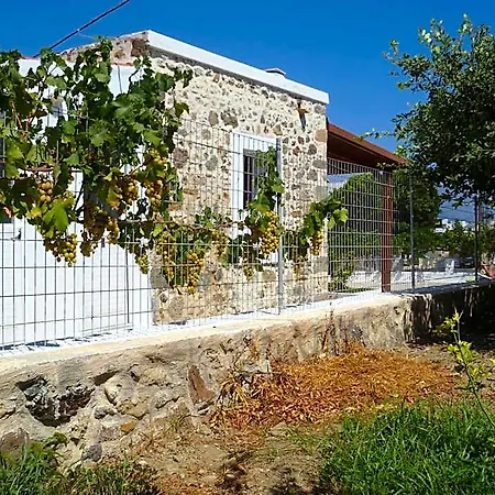 Апарт-отель Paraschos Kos Kardamena (Kos)