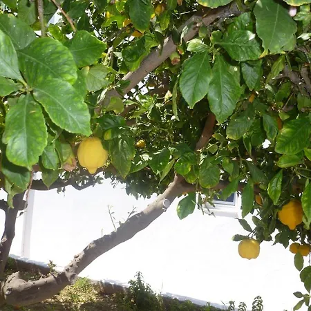 Aparthotel Paraschos Kos