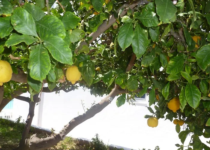 아파트호텔 Paraschos Kos